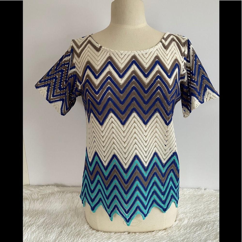 Charming Charlie Multi Colored Striped Sweater S